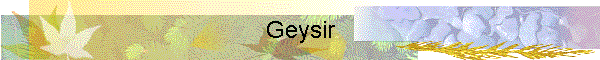 Geysir